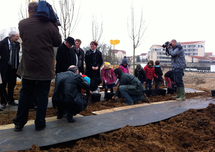 Plantation d’arbres de l’opération immobilière Côté Sablon à Metz – Nacarat