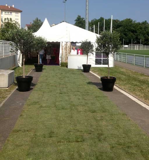 Inauguration du nouveau quartier Bruckhof à Strasbourg