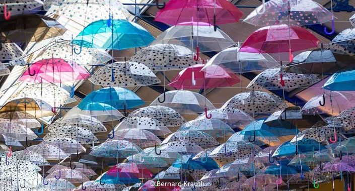 Création d’un plafond de parapluie dans une Halle au Marché à Haguenau