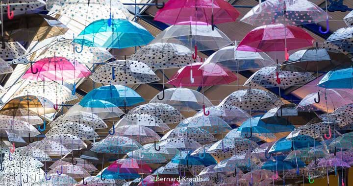 Création d’un plafond de parapluie dans une Halle au Marché à Haguenau