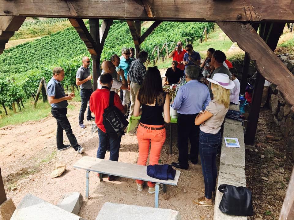 19884107_1082832995194700_8522092726457661026_n