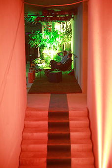 décoration soirée Elitihis