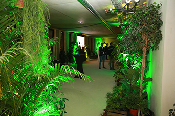 décoration-soirée-plantes