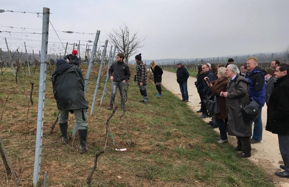 Rencontre annuelle ECVET à la Maison de la Région Est à Strasbourg