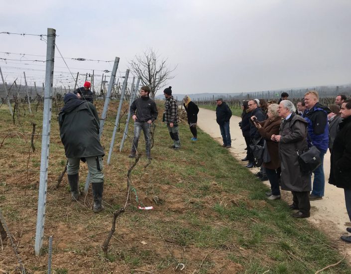 Rencontre annuelle ECVET à la Maison de la Région Est à Strasbourg