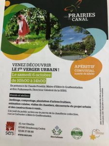 creation flyer communication evenement alsace strasbourg
