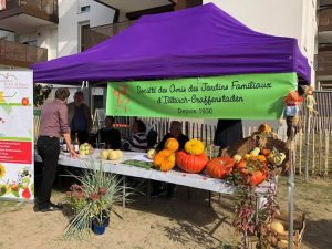 location de tonnelle evenement