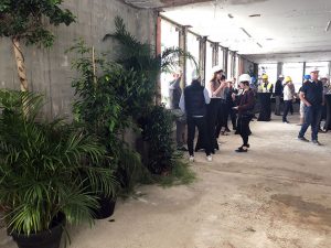 plantes decoration evenement strasbourg alsace location mobilier