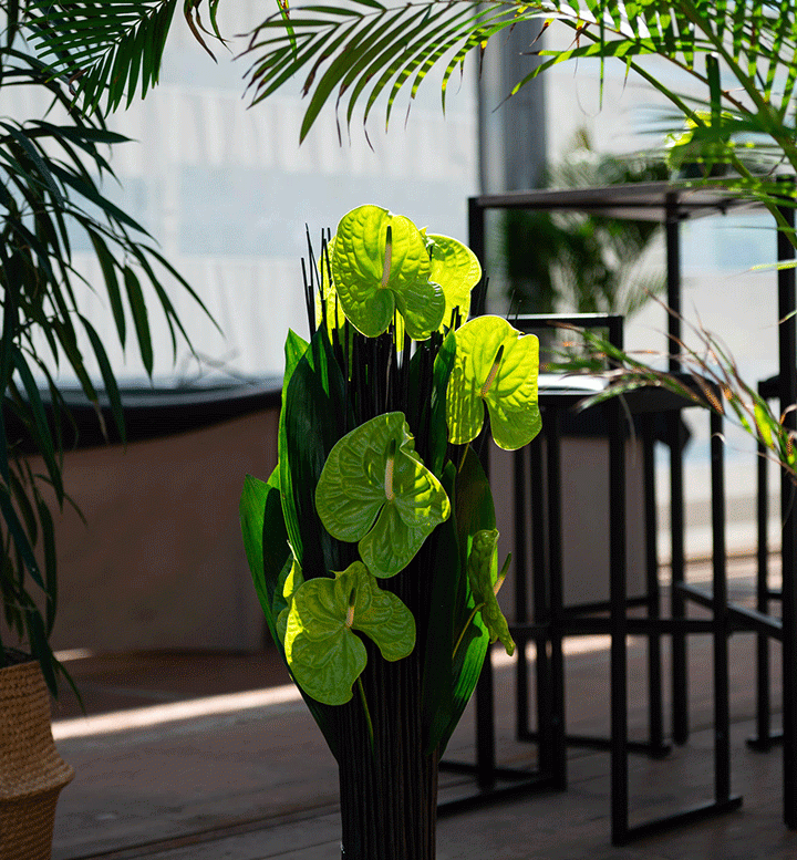 Inauguration Programme Immobilier PROMOVEST