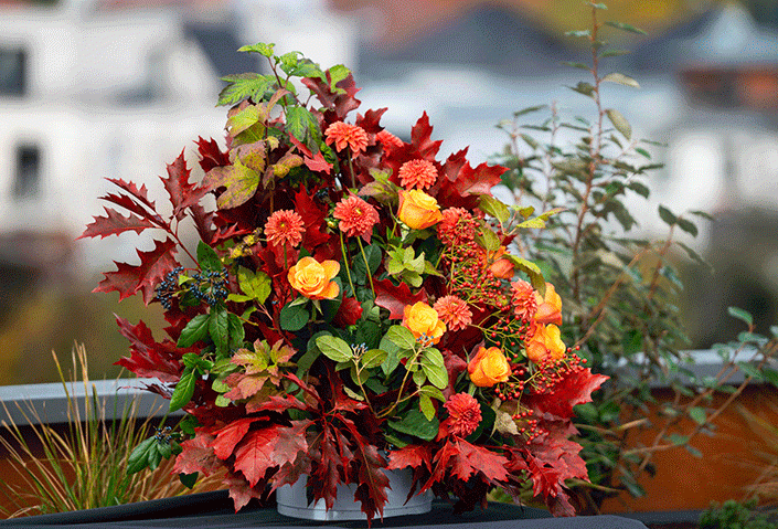 Inauguration d&rsquo;une résidence PROMOGIM au coeur de la Robertsau