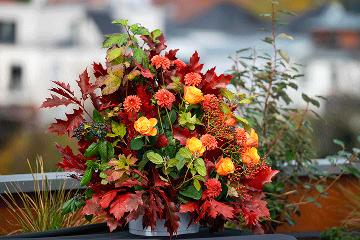 Inauguration d&rsquo;une résidence PROMOGIM au coeur de la Robertsau