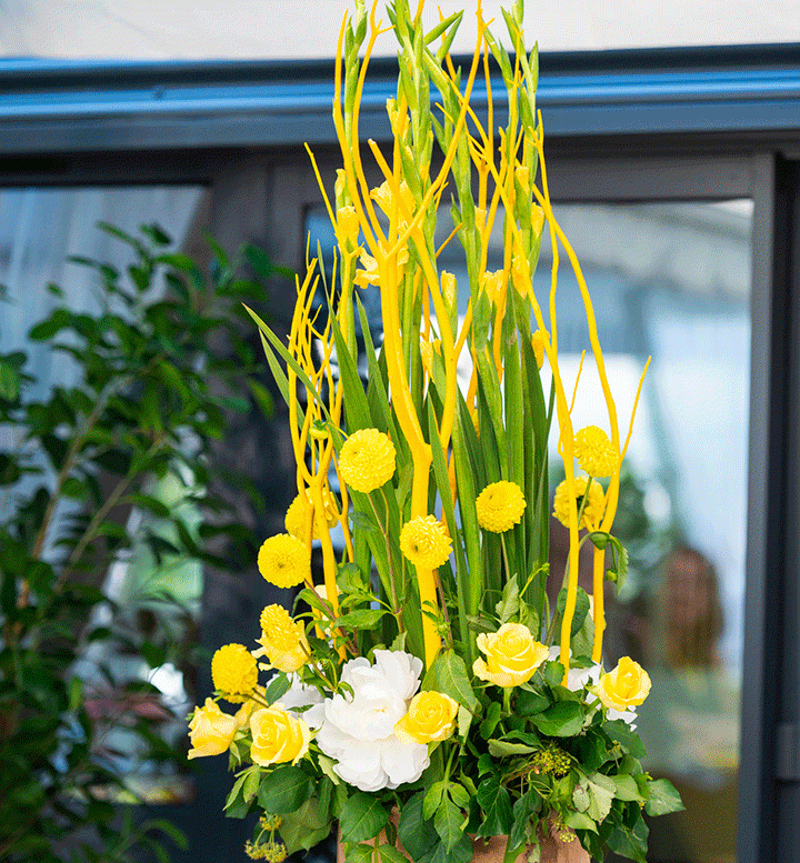 Inauguration Groupe Pharmaceutique Sartorius